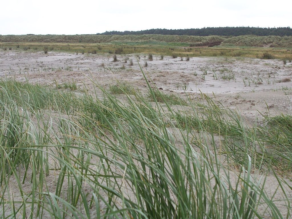 Uit Schiermonnikoog