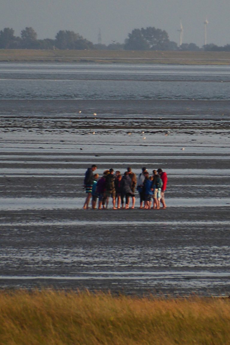 Dagje Het Wad wadlopen — Attracties in Schiermonnikoog